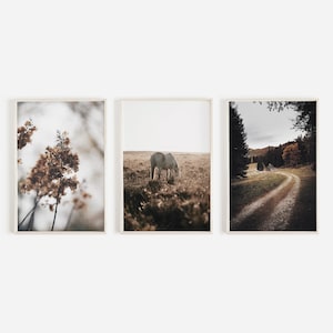 Rustic Autumn Print Set of 3, Dreamy Farmhouse Decor, Dried Flowers Print, Neutral Farm Style Set of 3, Horse Wall Art, Cabin In The Woods