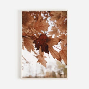Fall Leaves On Branch Print, Trendy Autumn Decor, Rustic Wall Art, Fall Foliage Poster, Minimalist Wall Art, Fall Colors Print
