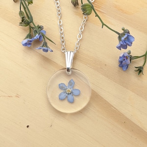 Necklace in real blue flowers of forget-me-not &quot;DO NOT FORGET ME&quot;