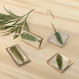 Plant earrings in real green fern