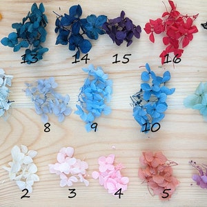 Real hydrangea flower earrings image 2