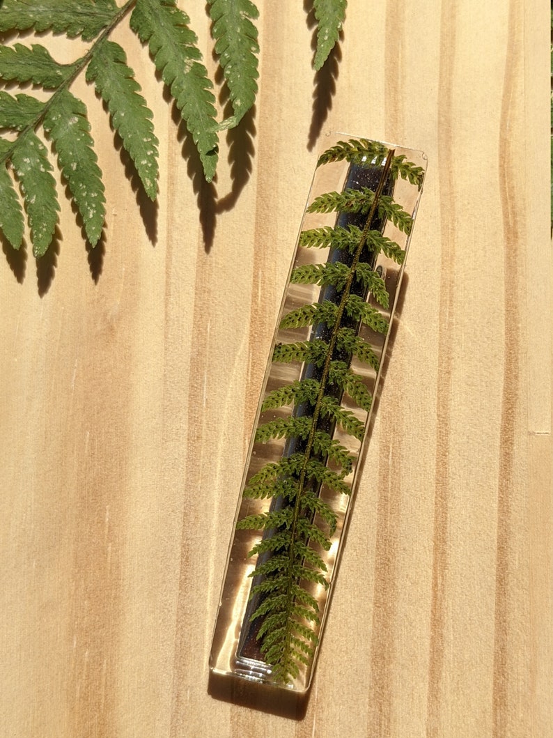 Barrette à cheveux en vrai fleurs Fougère verte