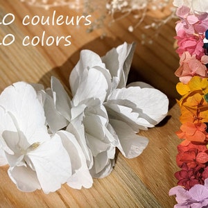 Hair clip made of real white flowers