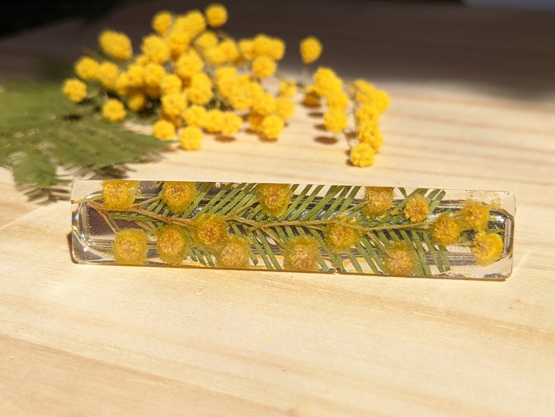 Barrette à cheveux en vrai fleurs Mimosa jaune