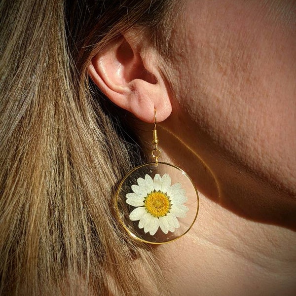 Boucles d'oreille pendante en véritable marguerite blanche DAISY