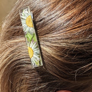 Real flower hair barrette Marguerite blanche