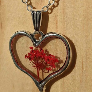 Collier pendentif coeur véritable fleur photo 9