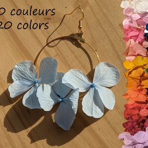 Peut inclure: Une paire de boucles d'oreilles créoles dorées avec un motif de fleurs séchées bleu clair. Les boucles d'oreilles sont présentées sur une surface en bois avec un arc-en-ciel de fleurs séchées en arrière-plan. Le texte '+20 couleurs +20 colors' est visible dans le coin supérieur gauche de l'image.