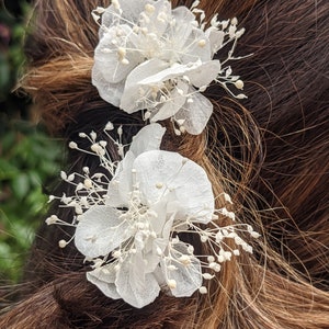 Hairpin in white stabilized flowers 2 piques hortensia