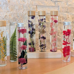 Peut inclure: Plusieurs bouteilles en verre remplies de fleurs et de feuilles séchées. Les bouteilles ont des couvercles en bois ou en argent. Les fleurs comprennent des fleurs roses, rouges, jaunes et violettes, et des fougères vertes.