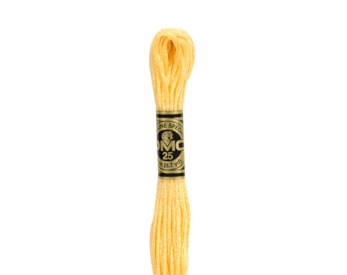 DMC 19 - Medium light Autumn Gold, 6 Strand Embroidery Floss 100% Cotton 8.7 Yards Per Skein