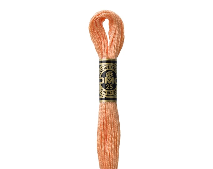 DMC 3825 - Pale Pumpkin, 6 Strand Embroidery Floss 100% Cotton 8.7 Yards Per Skein