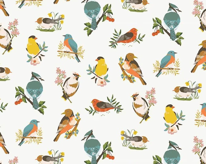 Winged Medley Birds Cloud by Katherine Lenius for Riley Blake Designs, 100% Cotton Fabric, C15911-CLOUD