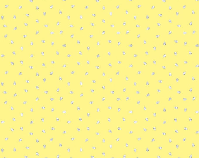 Sunny Skies Seeds Sun by Jill Finley for Riley Blake Designs, 100% Cotton Fabric, C14637-Sun