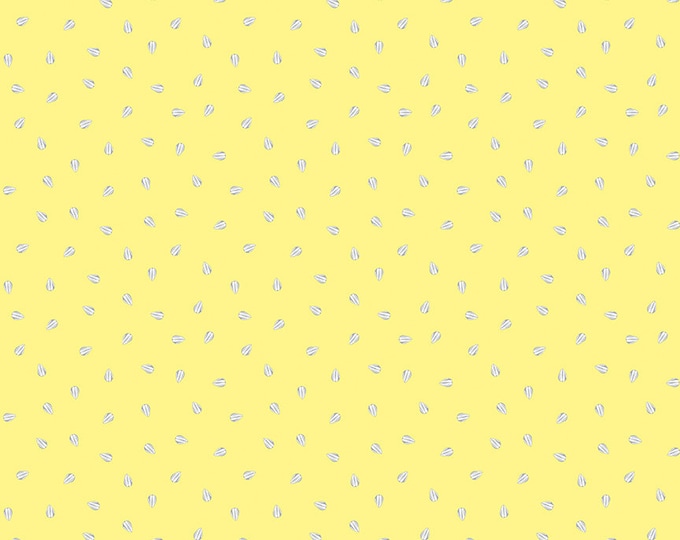 Sunny Skies Seeds Sun by Jill Finley for Riley Blake Designs, 100% Cotton Fabric, C14637-Sun