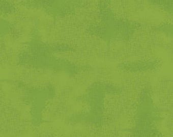 Shabby Turtle by Lori Holt for Riley Blake Designs, Basic Colors Green, 100% Cotton Fabric C605-TURTLE