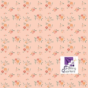 Spring's in Town - Blumensträuße Blush von Sandy Gervais für Riley Blake Designs, 100% Baumwolle, C14213-Blush