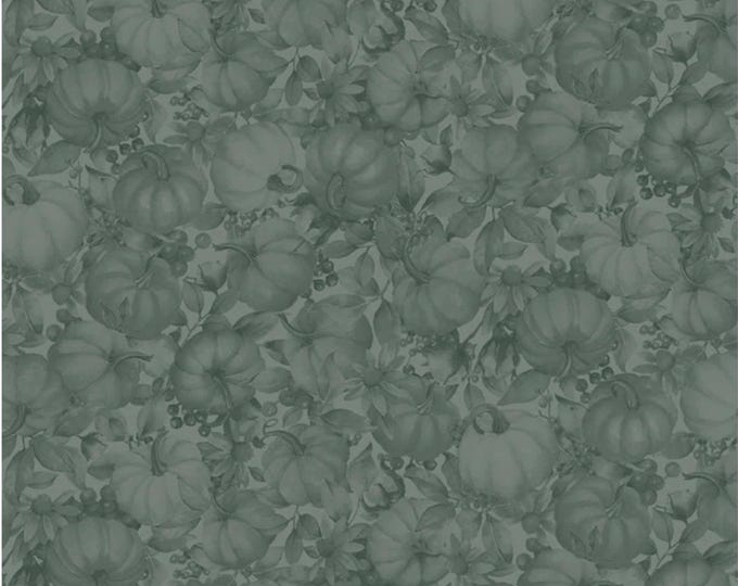 Bountiful - Tonal Pumpkins Teal, 100% Cotton, BOUN 5884 T