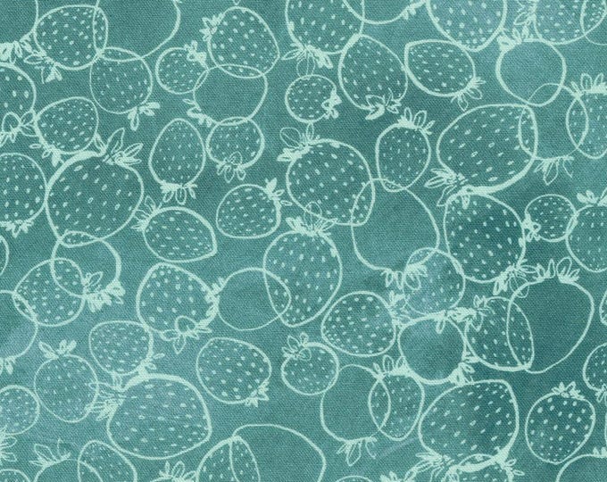 Strawberry Season - Strawberry Outline/Tonal Slate, 100% Cotton, ABYD-22317-66 SLATE
