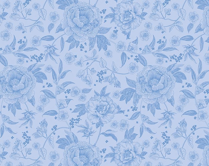 Penelope Main Sky by Riley Blake, 100 % Cotton, C16640-SKY