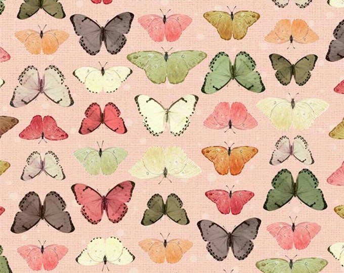 Petal Bouquet - Butterfly Stripe by Katie Pertiet for P&B Textiles, 100% Premium Cotton Fabric, PBOU-4963 LP