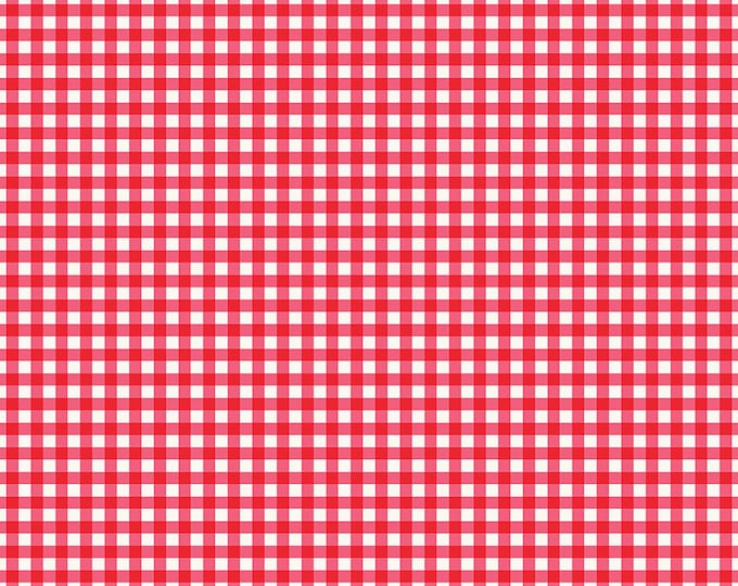 Picnic Florals - Gingham Pink by My Mind's Eye for Riley Blake Designs, 100% Cotton Fabric, C14614-Pink