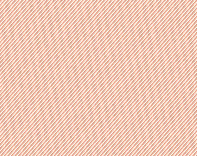 New Beginnings Stripes Apricot by Sandy Gervais for Riley Blake Designs, 100% Cotton Fabric, C15756-APRICOT
