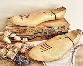 Vintage shoe tree (1950)