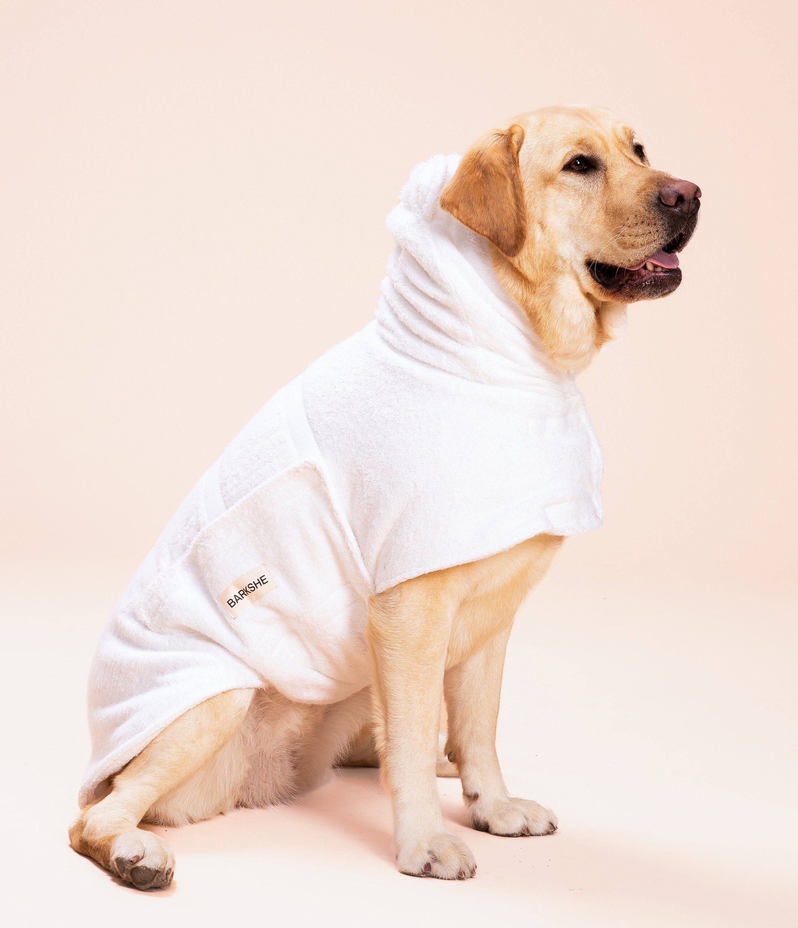 white dog robe