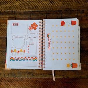 May include: A colorful planner with a monthly calendar, habit tracker, and space for affirmations, thoughts, and a gratitude checklist. The planner has a floral and mushroom theme with a rainbow design.