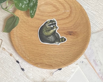 Raccoon vinyl sticker