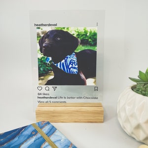 May include: A social media post featuring a photo of a brown puppy wearing a blue and white bandana. The caption reads "heatherdeval Life is better with Chocolate" and has 84 likes and 5 comments.