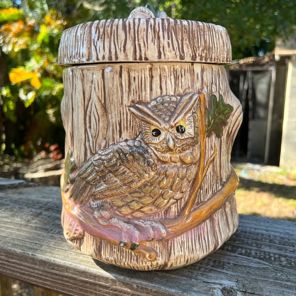 Owl Kitchen Decor Etsy
