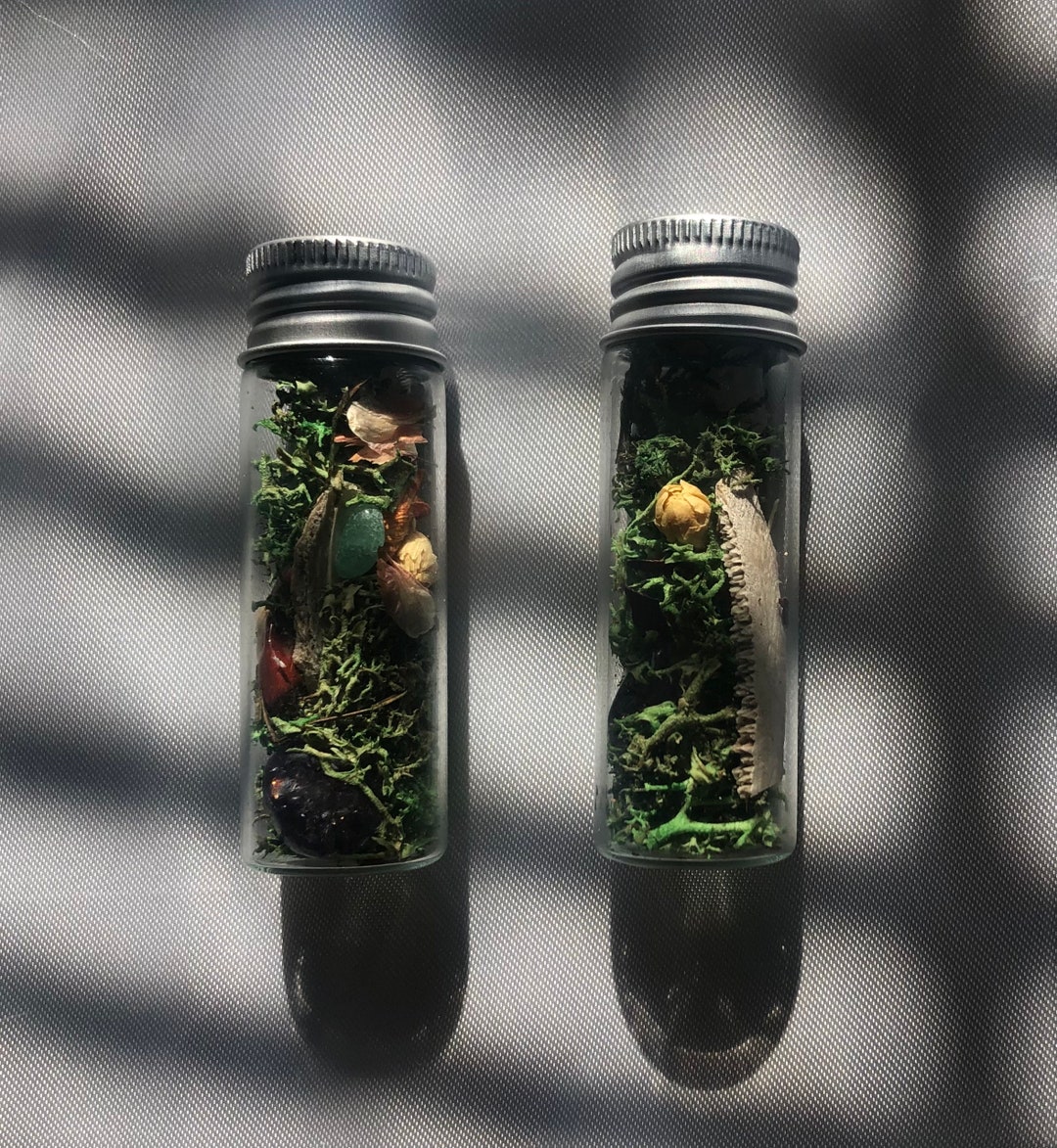 Moss Jar Mini Moss and Stone Jars Etsy