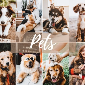 Pu&ograve; includere: Un collage di foto con diversi cani di razze e colori diversi. I cani si trovano in una variet&agrave; di ambienti, tra cui interni ed esterni. La parola "Animali domestici" &egrave; scritta in un grande font stilizzato al centro del collage.