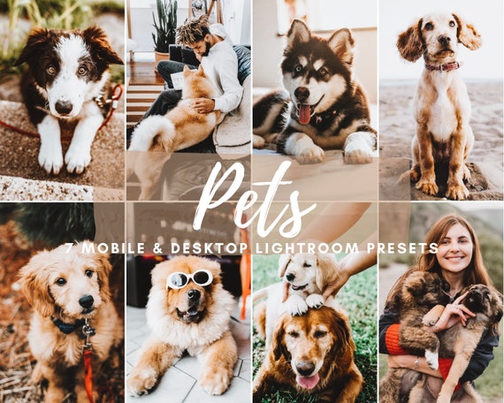 7 Dog Blogger Pets Instagram Mobile Lightroom Presets, Dog Photo Filters, Cat Presets, Pets Presets, Outdoor Presets, Animal Presets