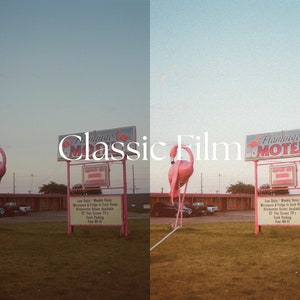 Op de afbeelding: Een roze flamingobeeld staat voor een motelbord met de tekst "Flamingo Motel". Het bord is roze en wit met een rode neonrand. Het motelbord heeft een klein bord eronder met informatie over de voorzieningen van het motel. De lucht is lichtblauw.