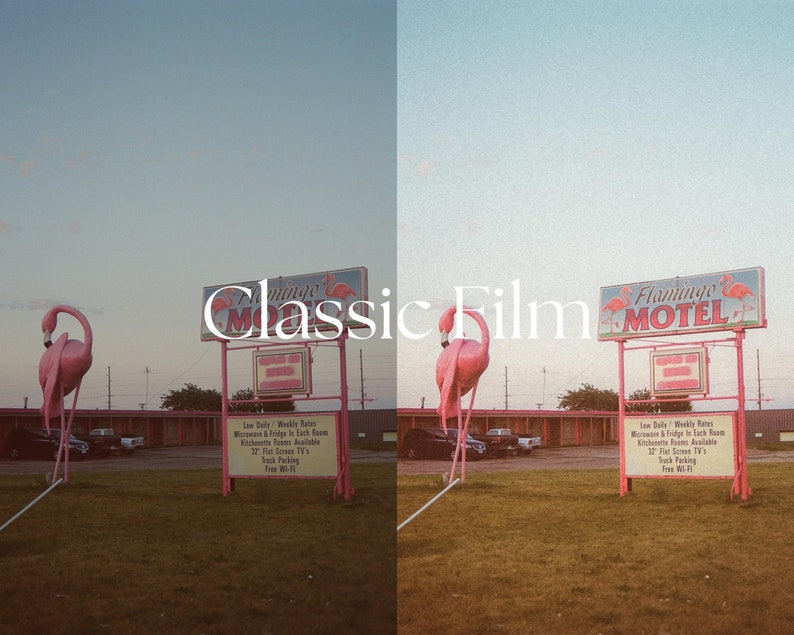 Op de afbeelding: Een roze flamingobeeld staat voor een motelbord met de tekst "Flamingo Motel". Het bord is roze en wit met een rode neonrand. Het motelbord heeft een klein bord eronder met informatie over de voorzieningen van het motel. De lucht is lichtblauw.