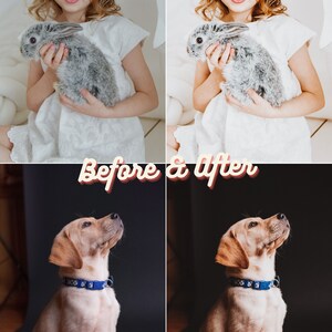 Pu&ograve; includere: Confronto prima e dopo la modifica delle foto. La fila superiore mostra una bambina che tiene un coniglio grigio. La fila inferiore mostra un cucciolo marrone seduto su uno sfondo nero. L'immagine mostra la differenza di illuminazione e correzione del colore.