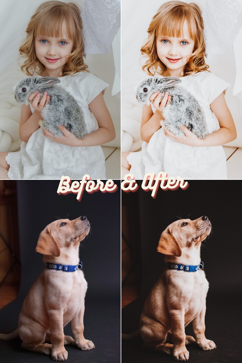 Pu&ograve; includere: Confronto prima e dopo la modifica delle foto. La fila superiore mostra una bambina che tiene un coniglio grigio. La fila inferiore mostra un cucciolo marrone seduto su uno sfondo nero. L'immagine mostra la differenza di illuminazione e correzione del colore.
