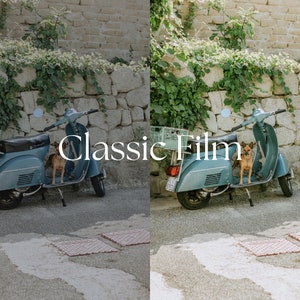 Op de afbeelding: Een blauwe vintage scooter geparkeerd voor een stenen muur met een kleine bruine hond die op de stoel zit. De scooter heeft een mand achterop en een achteruitkijkspiegel. De muur is bedekt met groene wijnstokken.