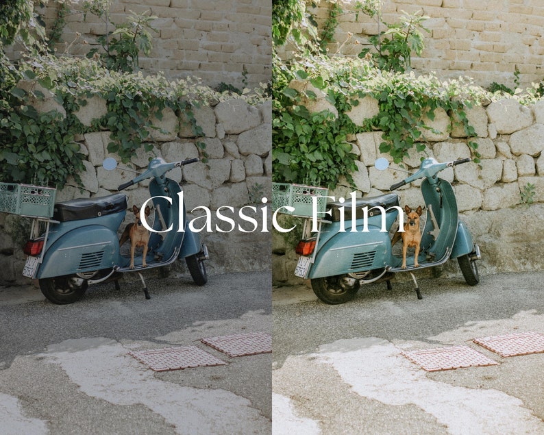 FILM 50 35 mm Lightroom pour mobile et bureau, préréglages Blogger, préréglage esthétique de film, film analogique vintage, filtre à grain de film Instagram image 3