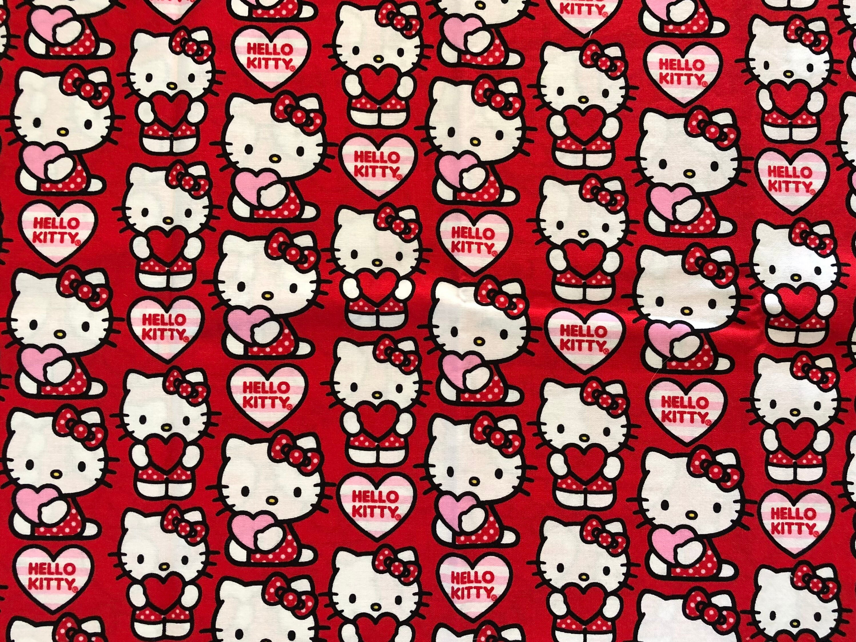 Hello Kitty Valentine's Day Card, I hope she likes it…