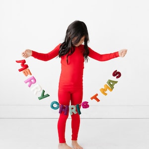 Merry Christmas Felt Garland Banner | Rainbow Christmas Banner | Modern Christmas Decorations | Unique Holiday Decor