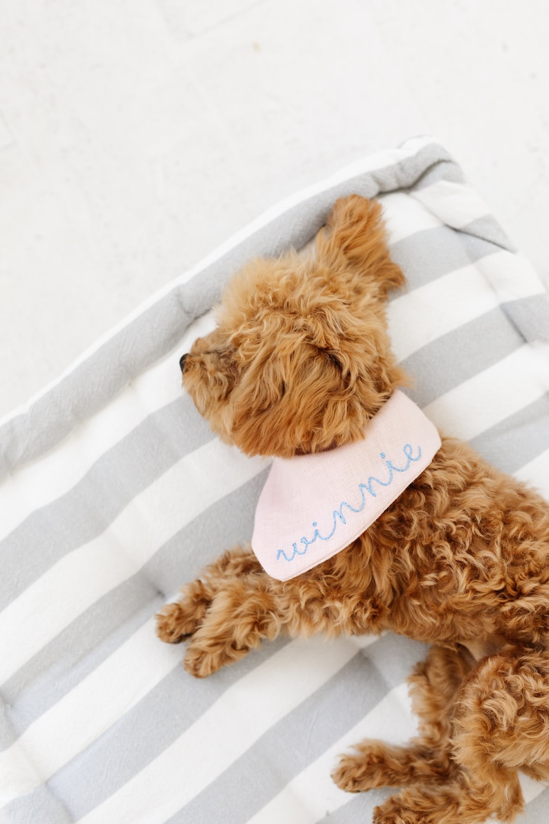 Personalized Pink Dog Bandana Puppy Birthday Bandana Etsy