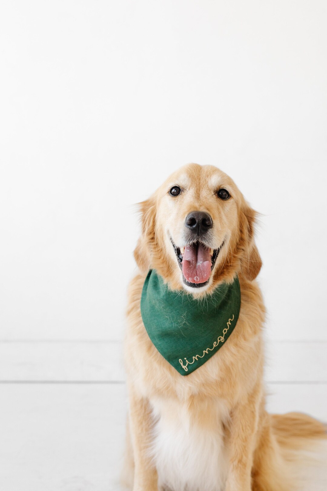 Personalized Green Dog Bandana Puppy Birthday Bandana Etsy