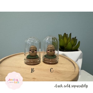 May include: Two small glass jars with cork lids, each containing a miniature clay figurine of a smiling acorn with a green leaf. The jars are labeled "B" and "C" and the text "Each sold separately" is visible below.