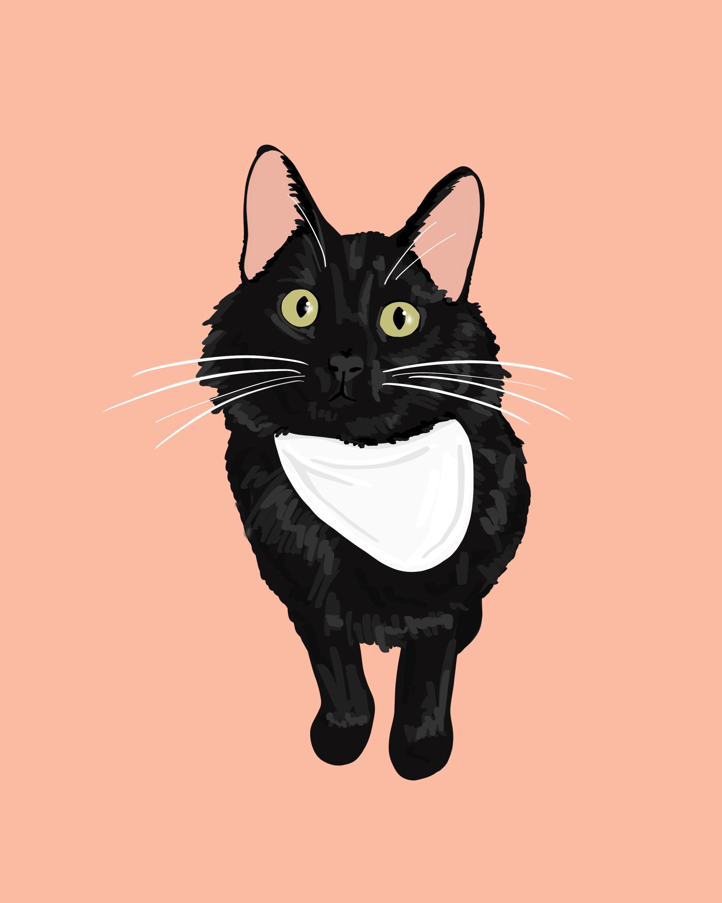 Custom Pet Portrait Digital Pet Illustration Cat Portrait Etsy