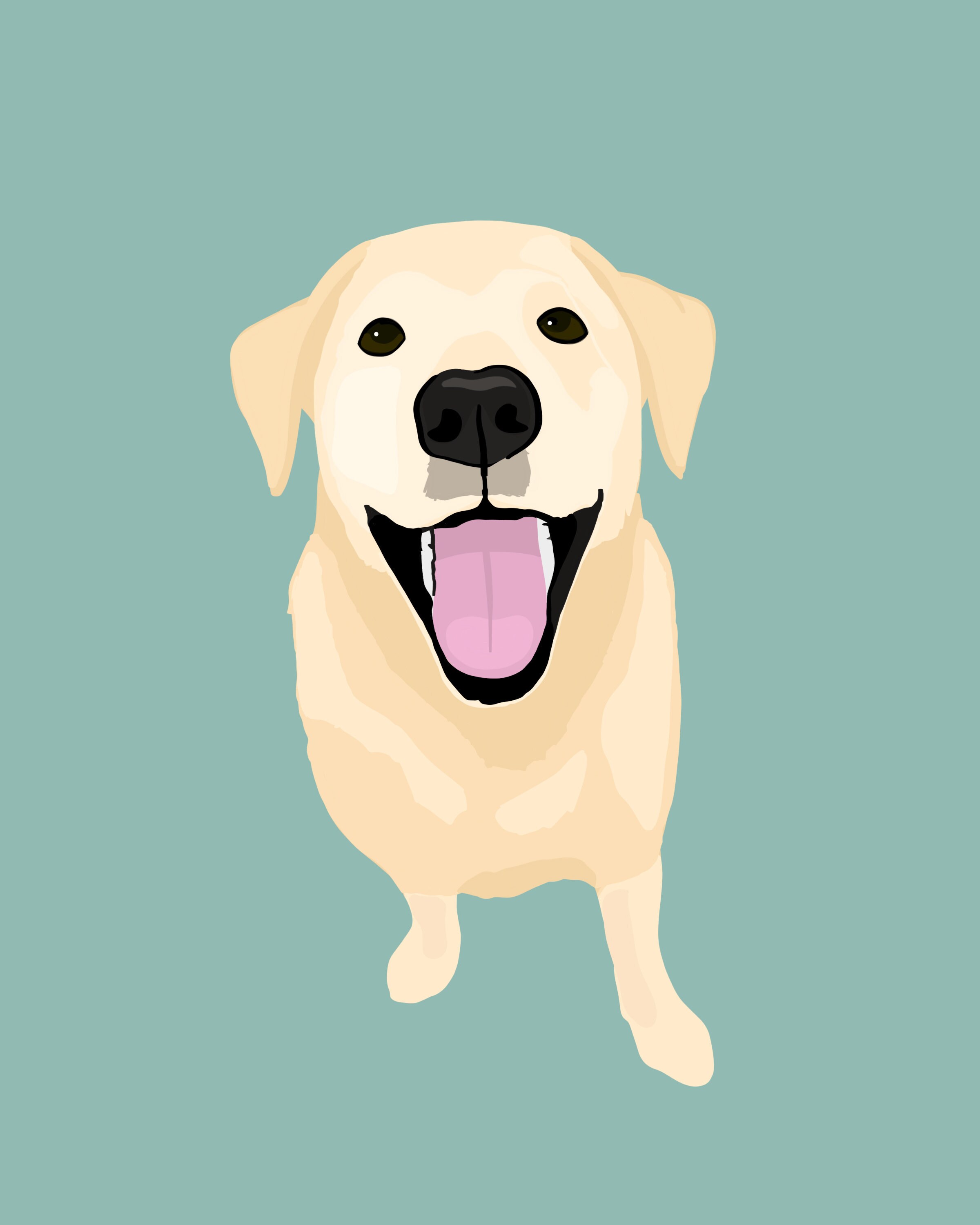 Custom Pet Portrait Digital Pet Illustration Cat Portrait Etsy