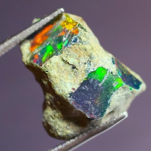 Könnte beinhalten: Ein roher, natürlicher Opal mit einem dunkelgrauen, schwarzen, grünen und orangefarbenen, irisierenden Schimmer. Der Opal wird mit einer Pinzette gehalten.